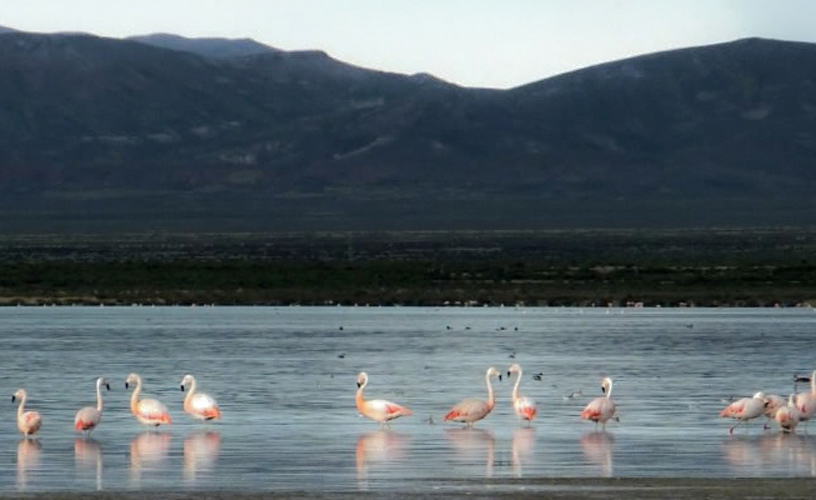 Laguna de Pozuelos